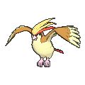 good moveset for pidgeot.